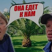 Истории Из Жизни