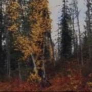 За Туманом Юрий Визбор