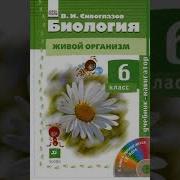 Биология 6 Класс Пономарева Кучменко Глава 2 Органы Растений