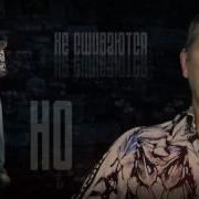 Барракуда Александр Новиков