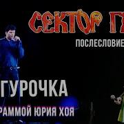Сектор Газа Голограмма Снегурочка