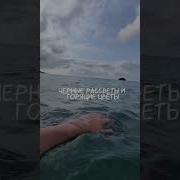 Сербская Музыка Море Море