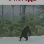 Ах Погода Бомба