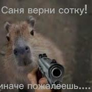 Саня Сотку Верни Оригинал