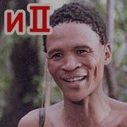 Наверно Боги Сошли С Ума