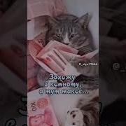 Шо Ты Подглядываешь