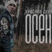 Красное Дерево Осень