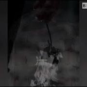 Дог Дохош Хадича Безаман Хьа Ирсан Га