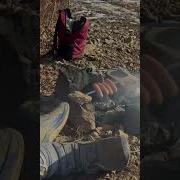 Если Это Тебя Утешит Меня Стыдится Вся Моя Семья