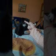 Пойдем Ебаца Ням Ням Хуй