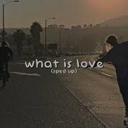 What Is Love Speed Up