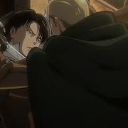 Levi X Erwin