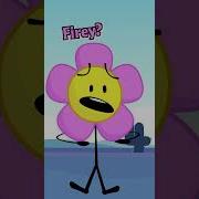 Clean Bfdi