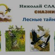 Лесной Каледарь Николай Сладков