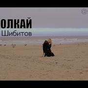 Шибитов Не Умолкай