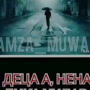 Дец Ненц Дик Хилар