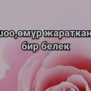 Туулган Кунго Каалоо Тилек