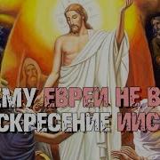Раввин Финкель