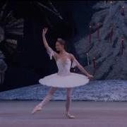 Pyotr Ilyich Tchaikovsky Dancing With The Sugar Plum Fairy