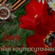 Музыка Для Возложения Цветов На 9 Мая