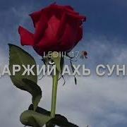 Дог Са Лазийна