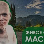 Из Книги Н Венкатарамана Блаженство Естества