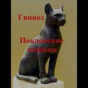 Энергоинформационный Гипноз Кошки