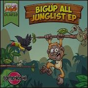 Big Up All Junglists Tomoyoshi