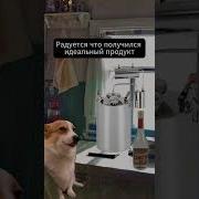 Мышык Дед