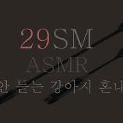 에토일Asmr 영상 찍