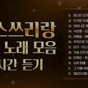 마음을 녹이는 미스쓰리랑 노래 모음 당신은 모르실 거야 뜨거운 안녕 정서주 나영 김소연 배아현 겨울 트로트 메들리 골든트로트