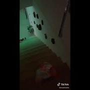 ميا خليفة في الحمام فديو ساخن