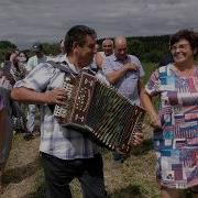 Гармонист Анатолий Святов