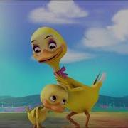 Crying Duck Meme