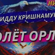 Джидду Кришнамурти Полёт Орла