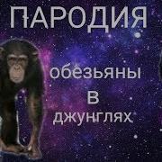 Пародия Обезьяны В Джунглях