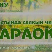 Караоке Сагыну Татарча Жырлар Татарская Народная Песня Karatattv