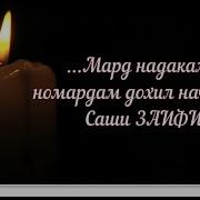 Текст Машам Навад Аз 40 Зиед