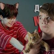 Дерзкий Мяу Мин Юнги Suga Bts K Pop Ari Rang Реакция Caniok