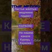 Листья Желтые Курнуц