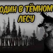 В Одном Тёмном Тёмном Лесу