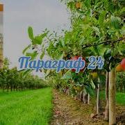 Параграф 24 Биология 5 Класс