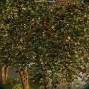Китайская Озвучка Для World Of Tanks