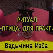 От Избы До Избы Жар Птица