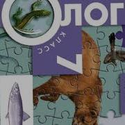 5 Параграф Биология Константинов