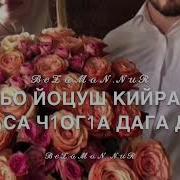 Стиглара Седа Суна Лепа