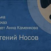 Читает Анна Каменкова