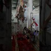 Кыргызстандагы Эшектин Эти