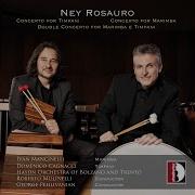 Concerto For Timpani String Orchestra Op 37 I Bachroque Domenico