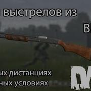 Звуки Выстрелов Дейз